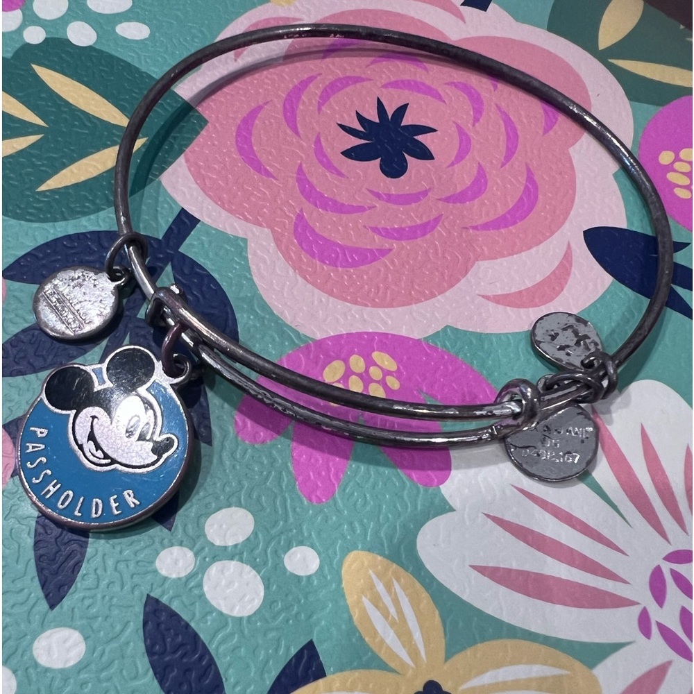Exclusive Disney passholder Alex and ani